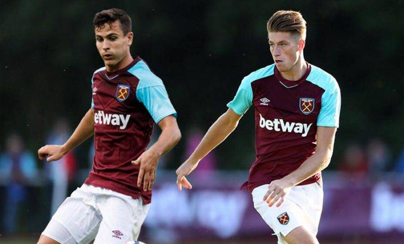 总体而言 总体而言